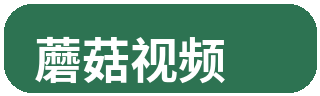 蘑菇视频品牌 Logo